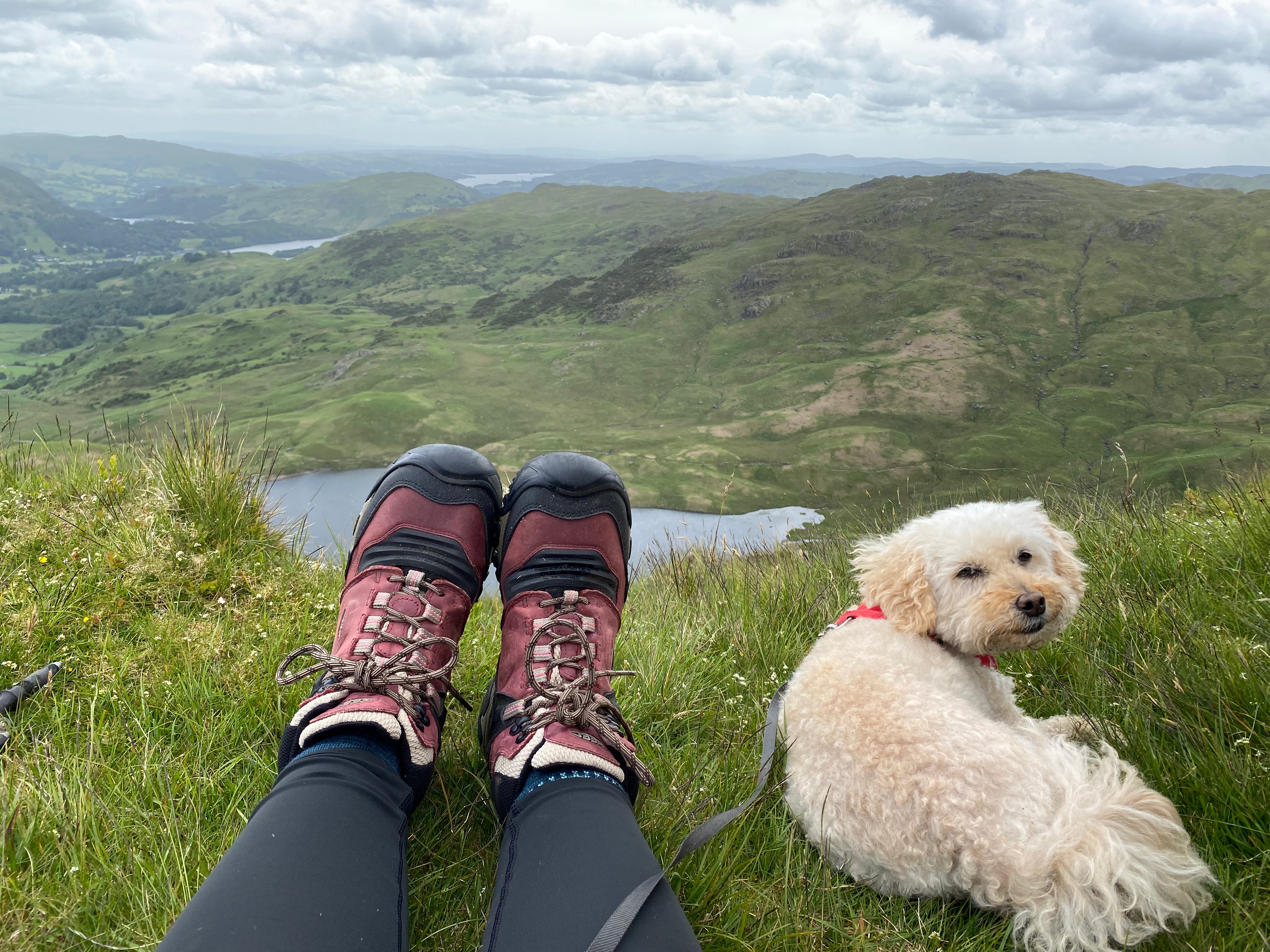 My Favourite Summer Hiking Boots for Wide Feet: Keen Ridge Flex Waterproof Boots Review.